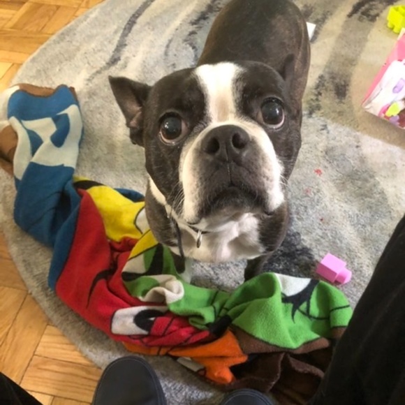 Meet your Posher, Betty - Picture 5 of 7